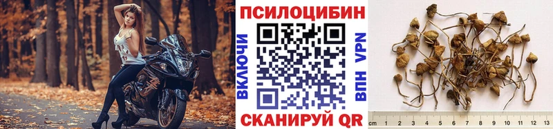 Галлюциногенные грибы Cubensis  Купить  Козловка 